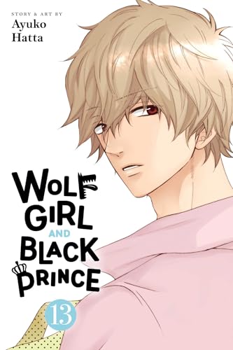 Wolf Girl and Black Prince, Vol. 13 (WOLF GIRL BLACK PRINCE GN, Band 13)