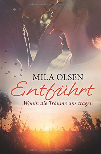 Entführt - Wohin die Träume uns tragen (Entführt: Under Northern Skies, Band 4)