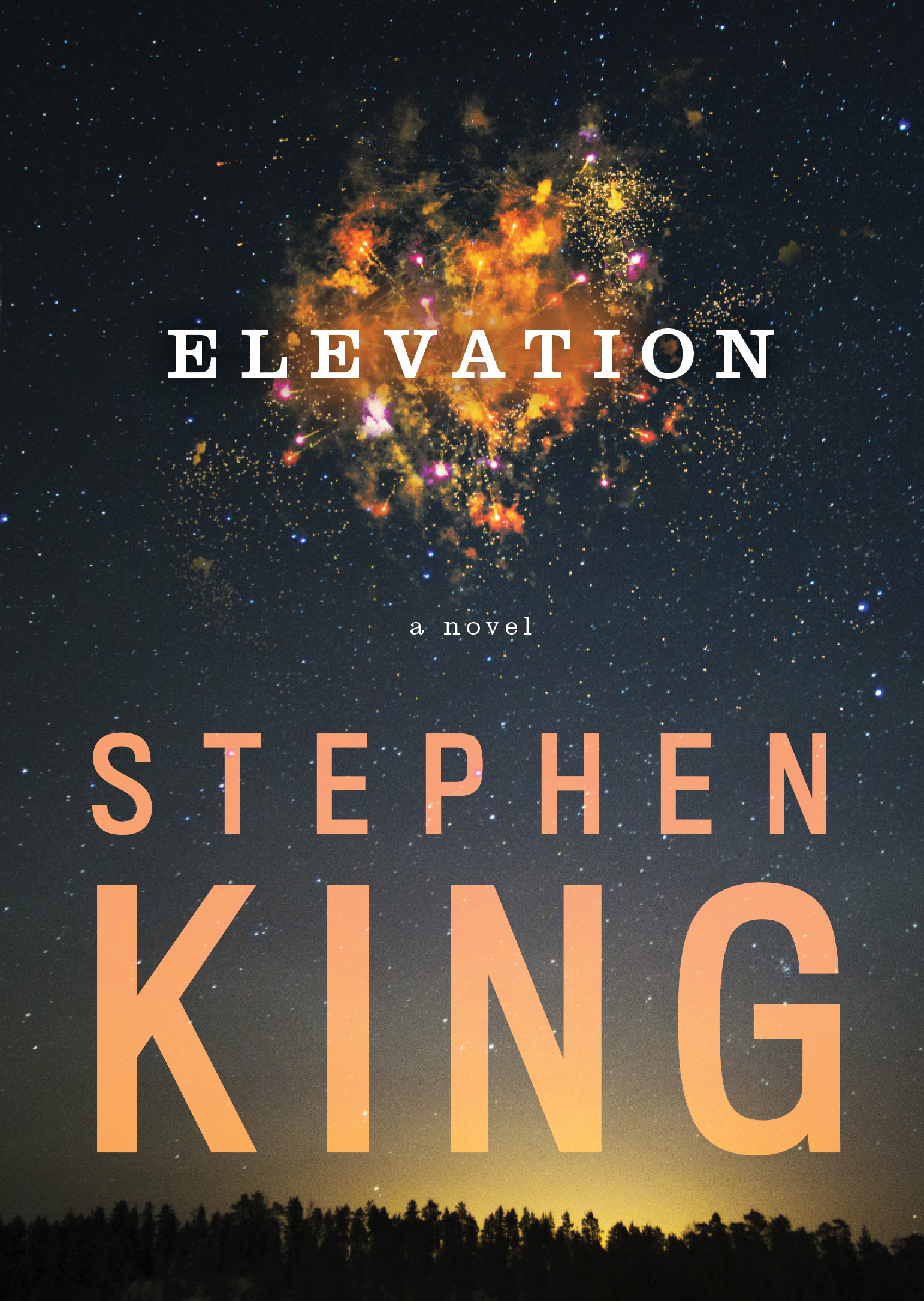 Elevation: A Novel