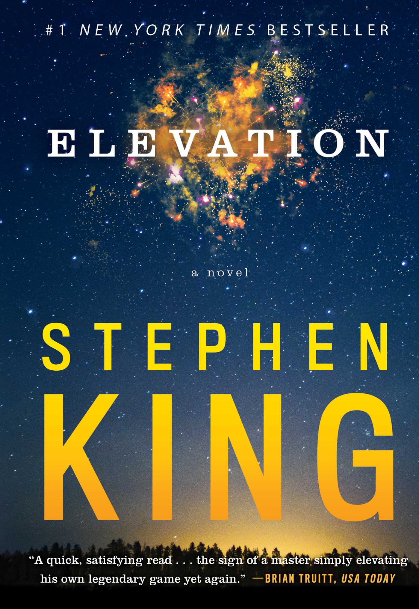 Elevation: A Novel