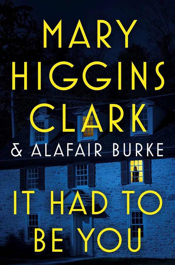 It Had to Be You (An Under Suspicion Novel)