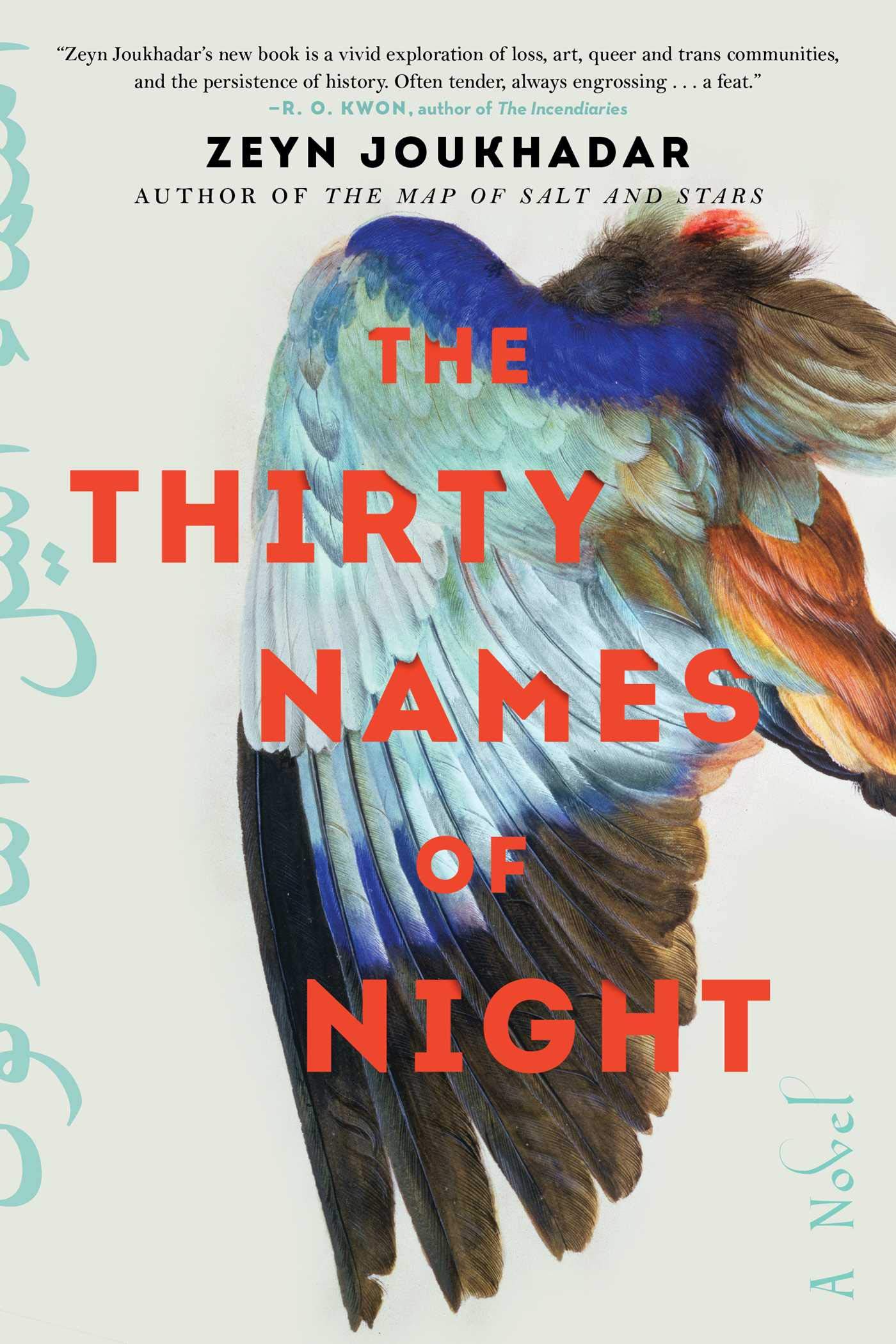 The Thirty Names of Night: A Novel