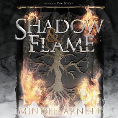 Shadow & Flame: Library Edition (Rime Chronicles, Band 2)