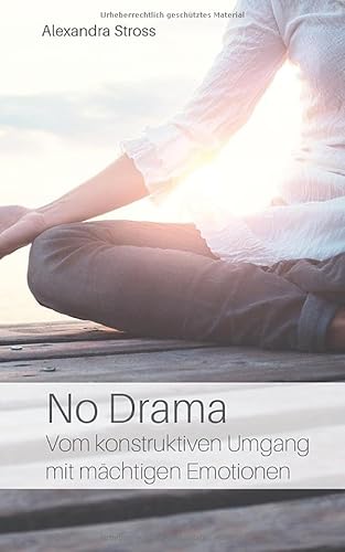 No Drama: Vom konstruktiven Umgang mit mächtigen Emotionen