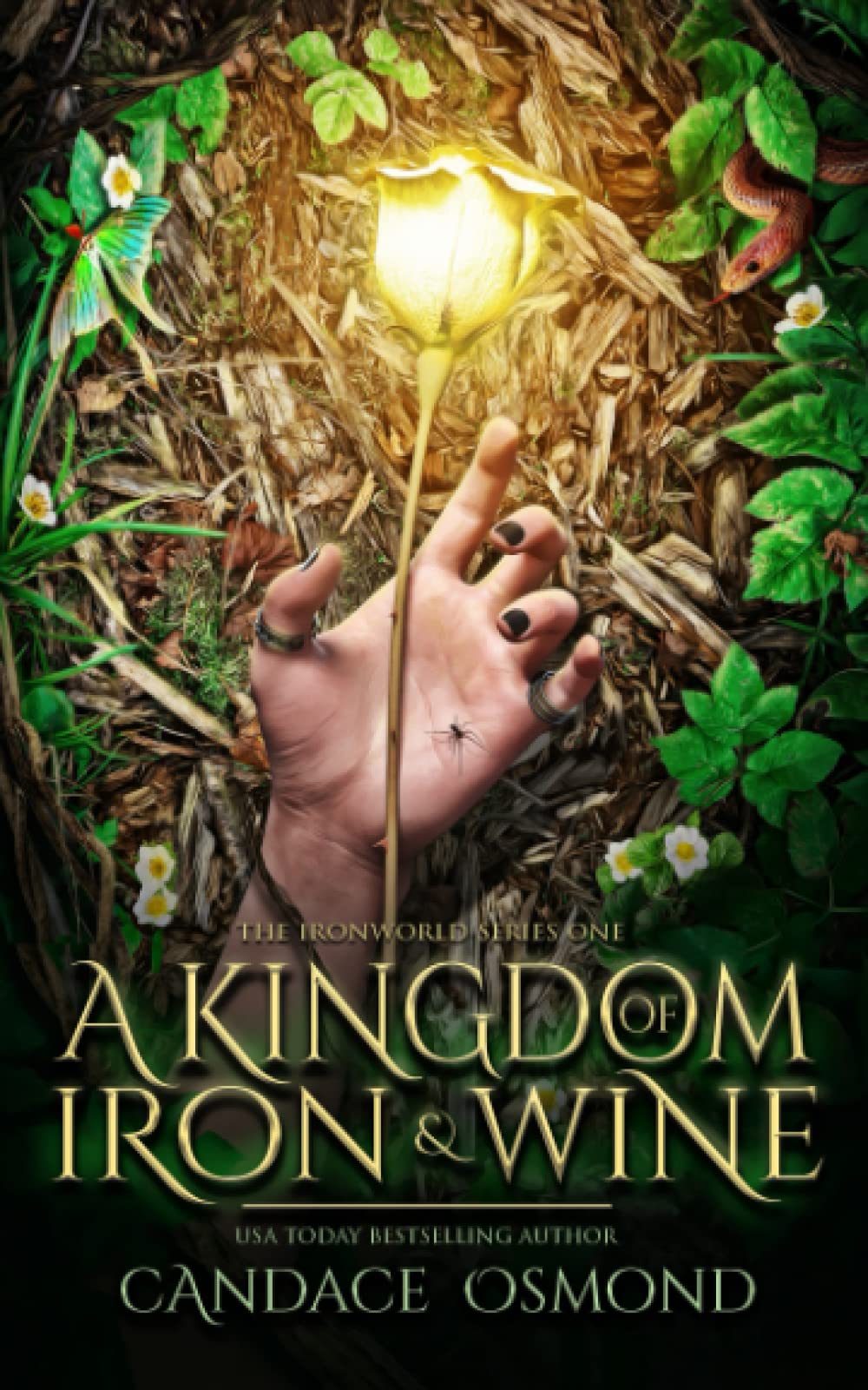 A Kingdom of Iron & Wine: New Adult Fantasy Romance (The Ironworld Series, Band 1)