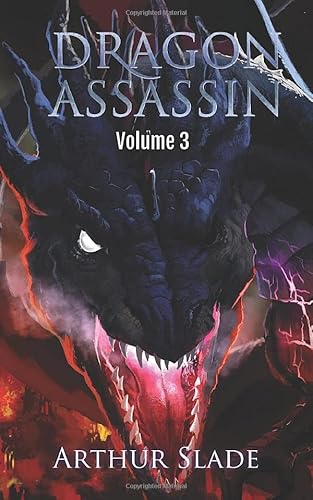 Dragon Assassin 3