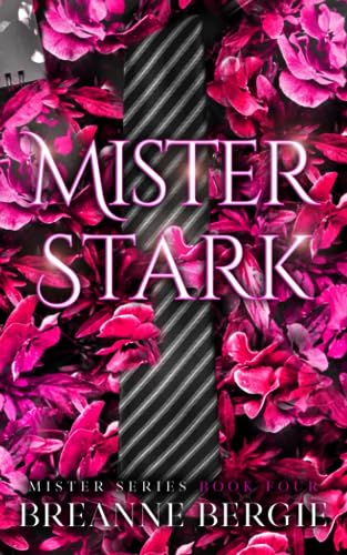 Mister Stark: A Billionaire Age Gap Enemies to Lovers Pregnancy Romance (Mister Series Book 4)