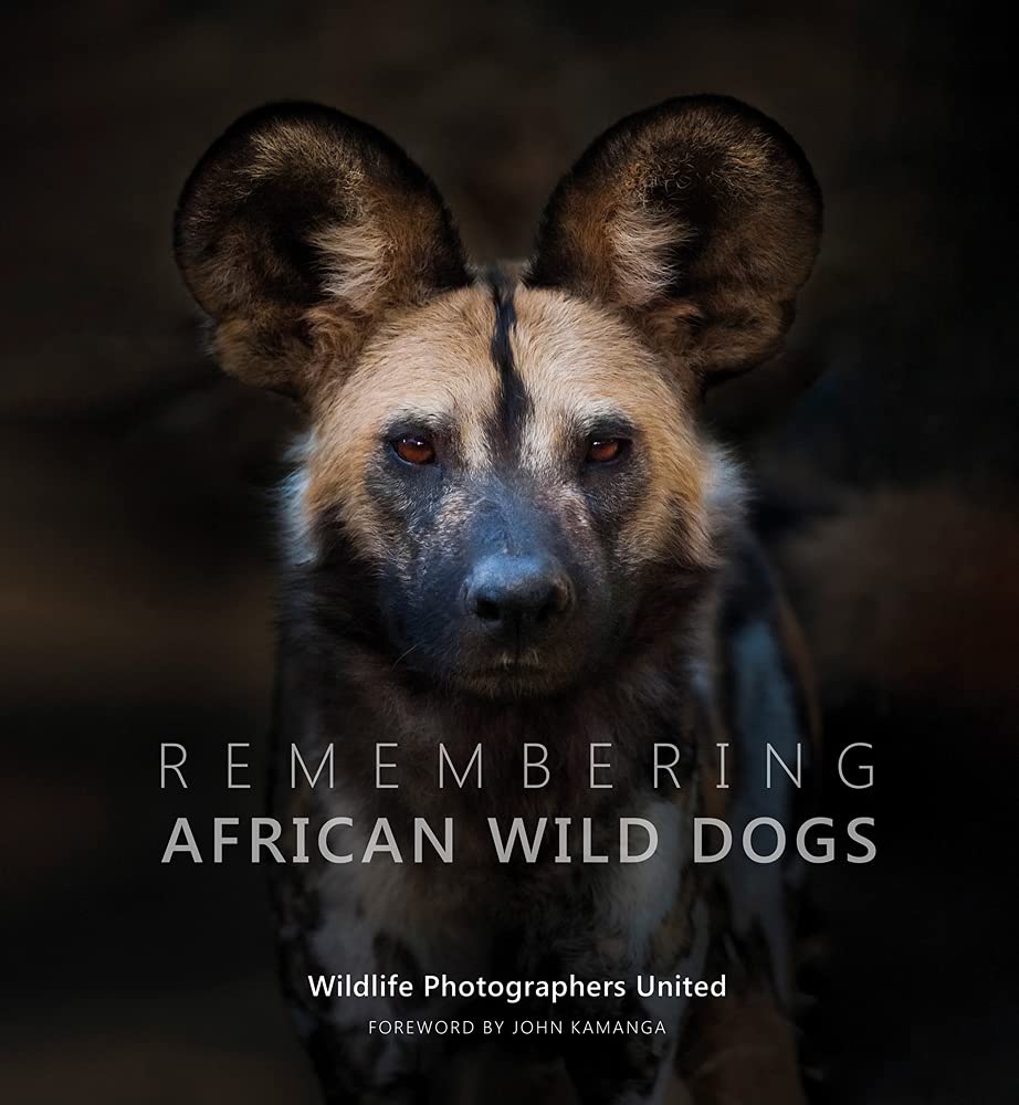 Remembering African Wild Dogs (Remembering Wildlife, Band 6)