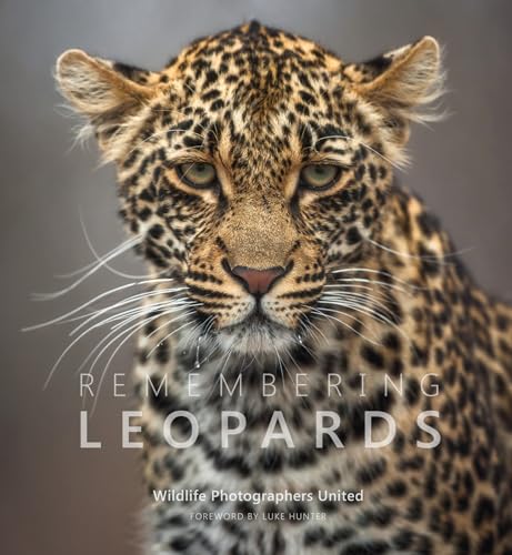 Remembering Leopards (Remembering Wildlife)