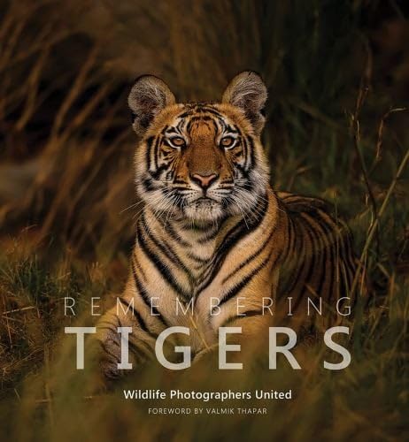 Remembering Tigers (Remembering Wildlife, Band 9)
