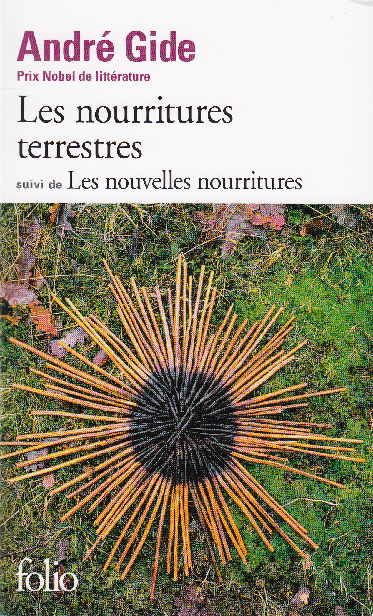 Les Nourritures terrestres: Suivi de Les Nouvelles Nourritures (Collection Folio)
