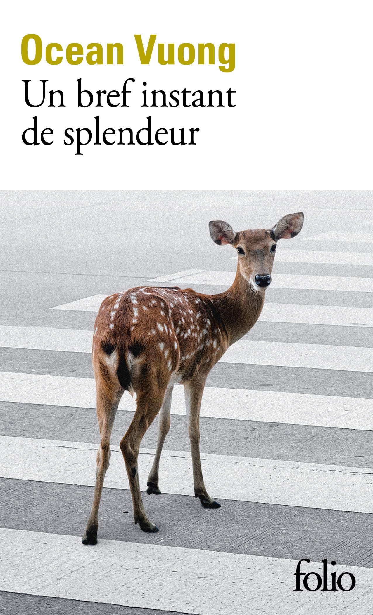 Un bref moment de splendeur
