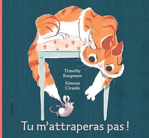 Tu M'Attraperas Pas !