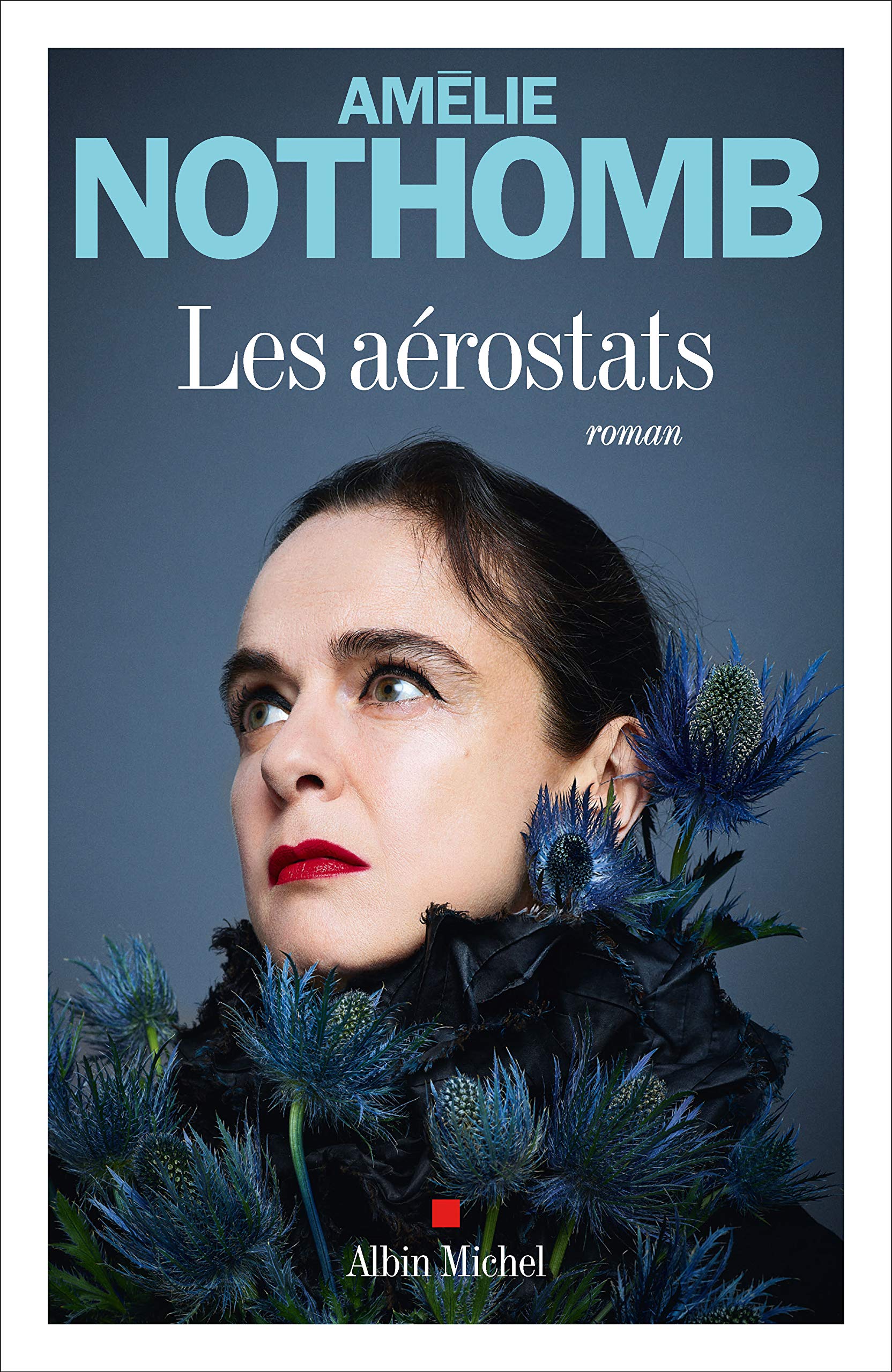 Les Aérostats: Roman