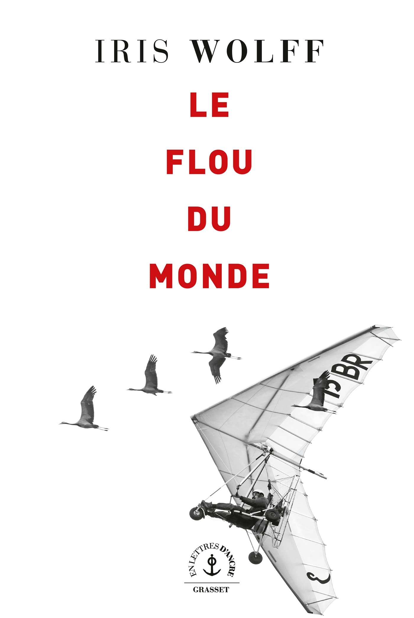 Le flou du monde: roman