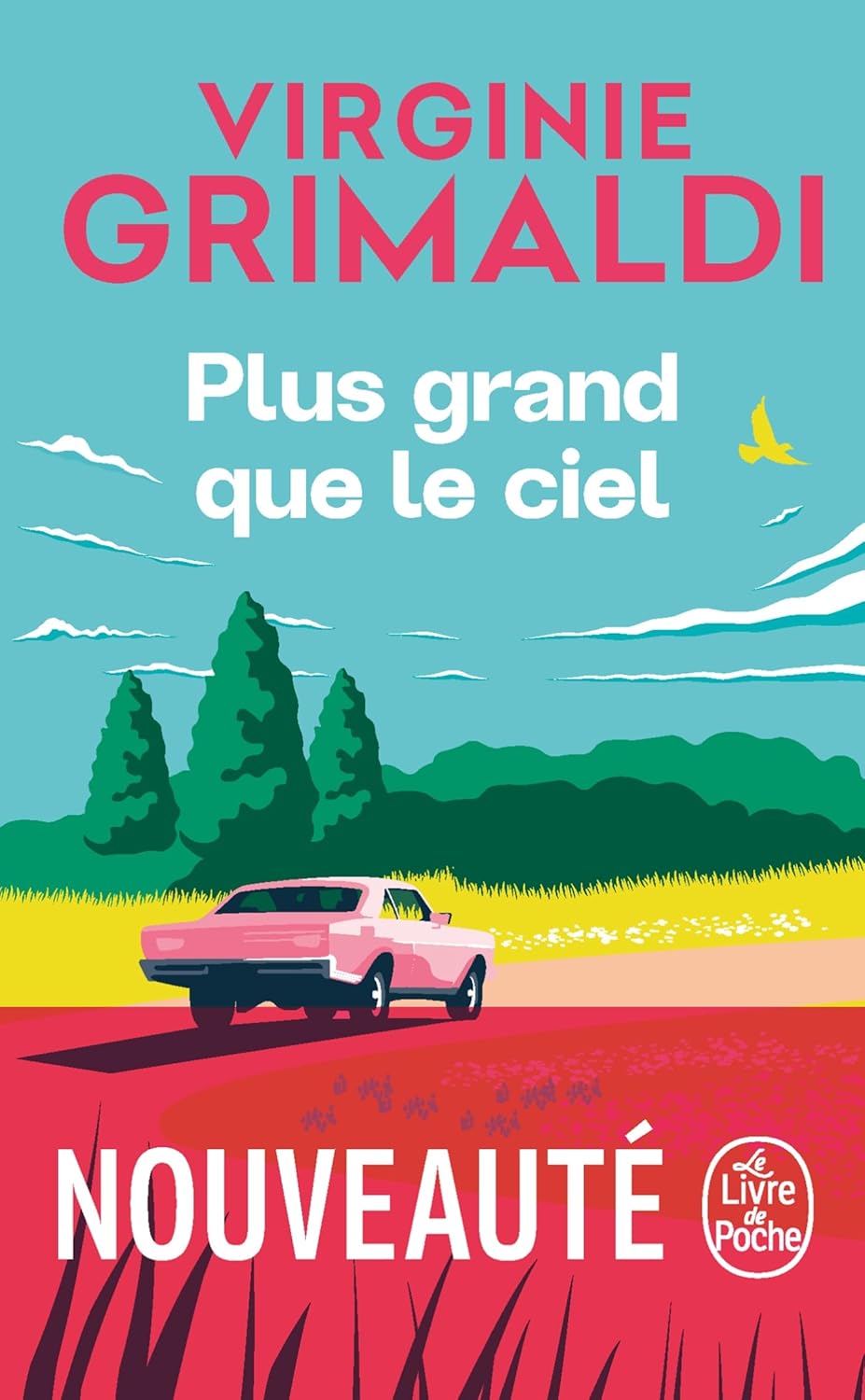Plus grand que le ciel: Roman