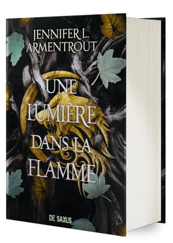 Une Lumière dans la flamme (relié collector) - Tome 02 La Chair et le Feu: Tome 2