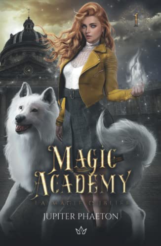 La magie oubliée (Magic Academy, Band 1)