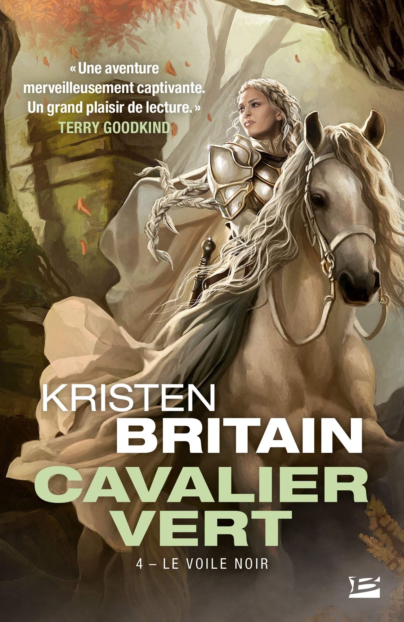 Cavalier Vert, Tome 4 : Le voile noir