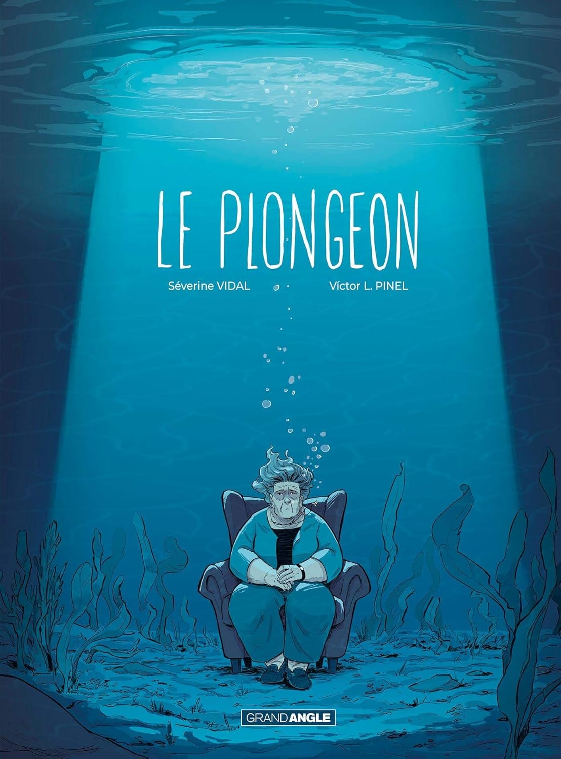 Le Plongeon - histoire complète