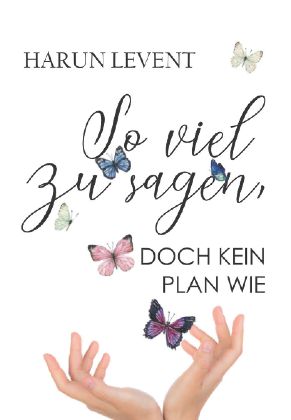 So viel zu sagen, doch kein Plan wie