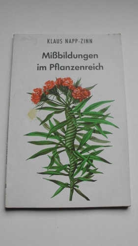 Die Pflanze II. Weitere Blütenpflanzen und blütenlose Pflanzen