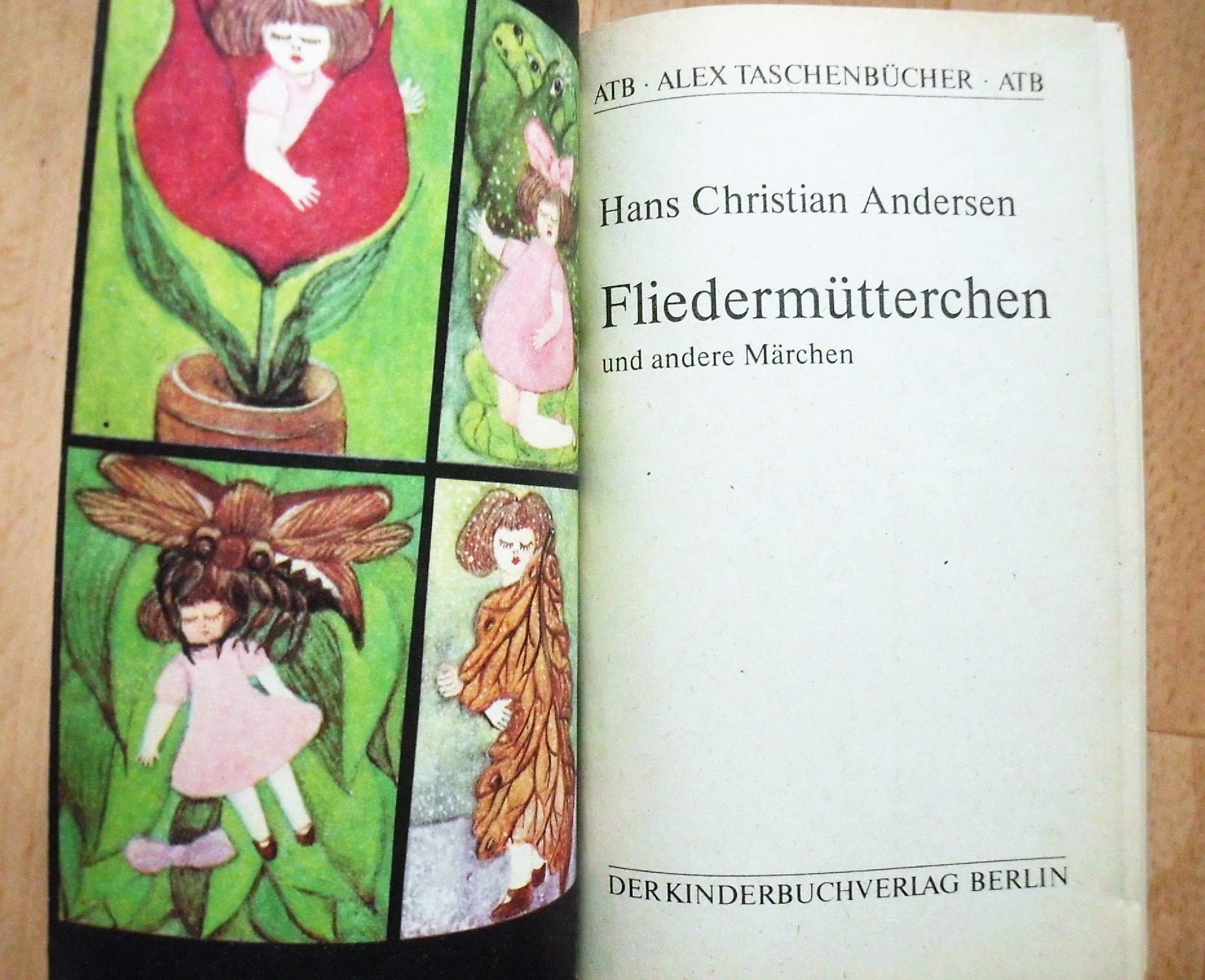 Fliedermütterchen und andere Märchen