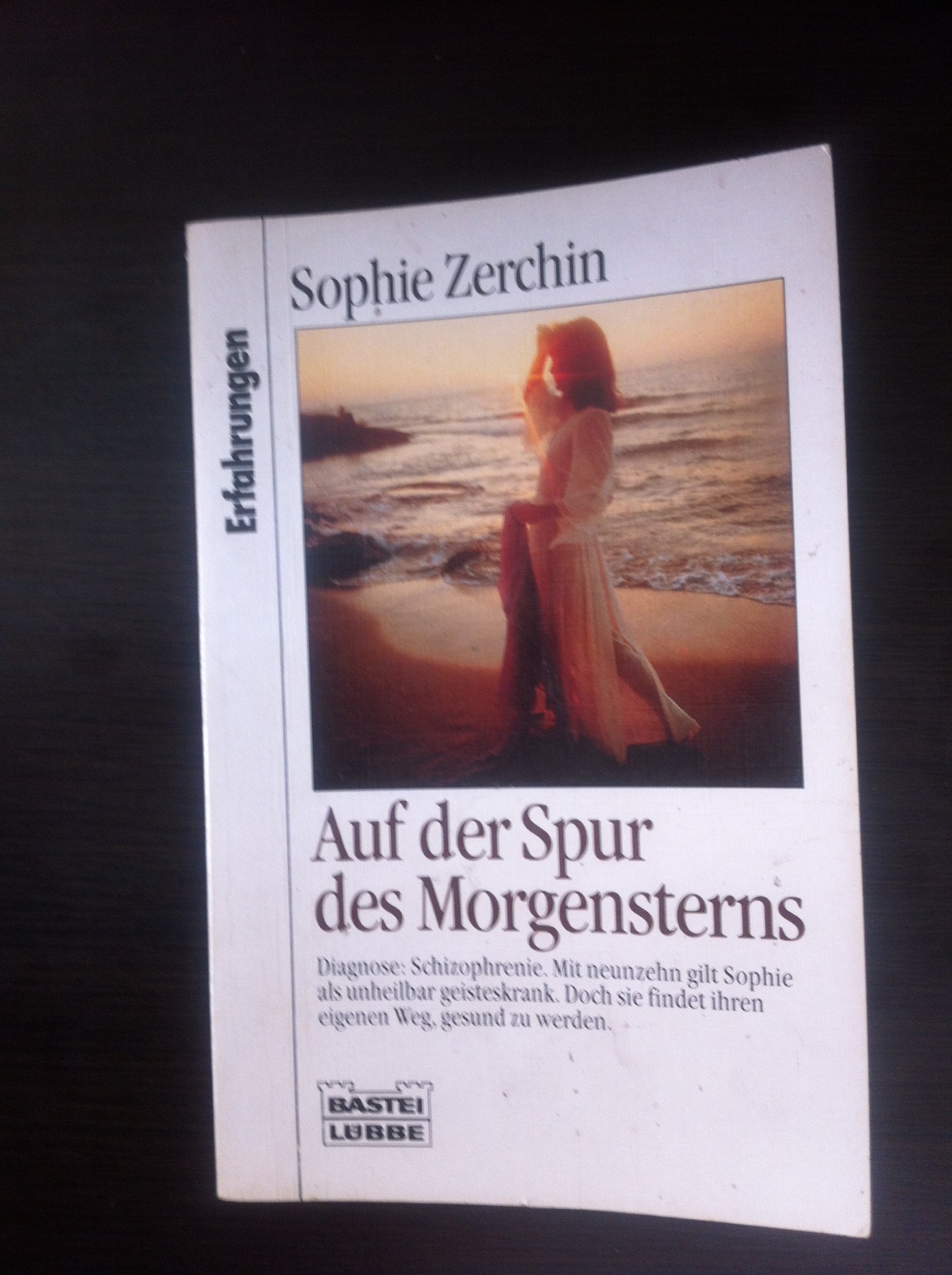 Auf der Spur des Morgensterns