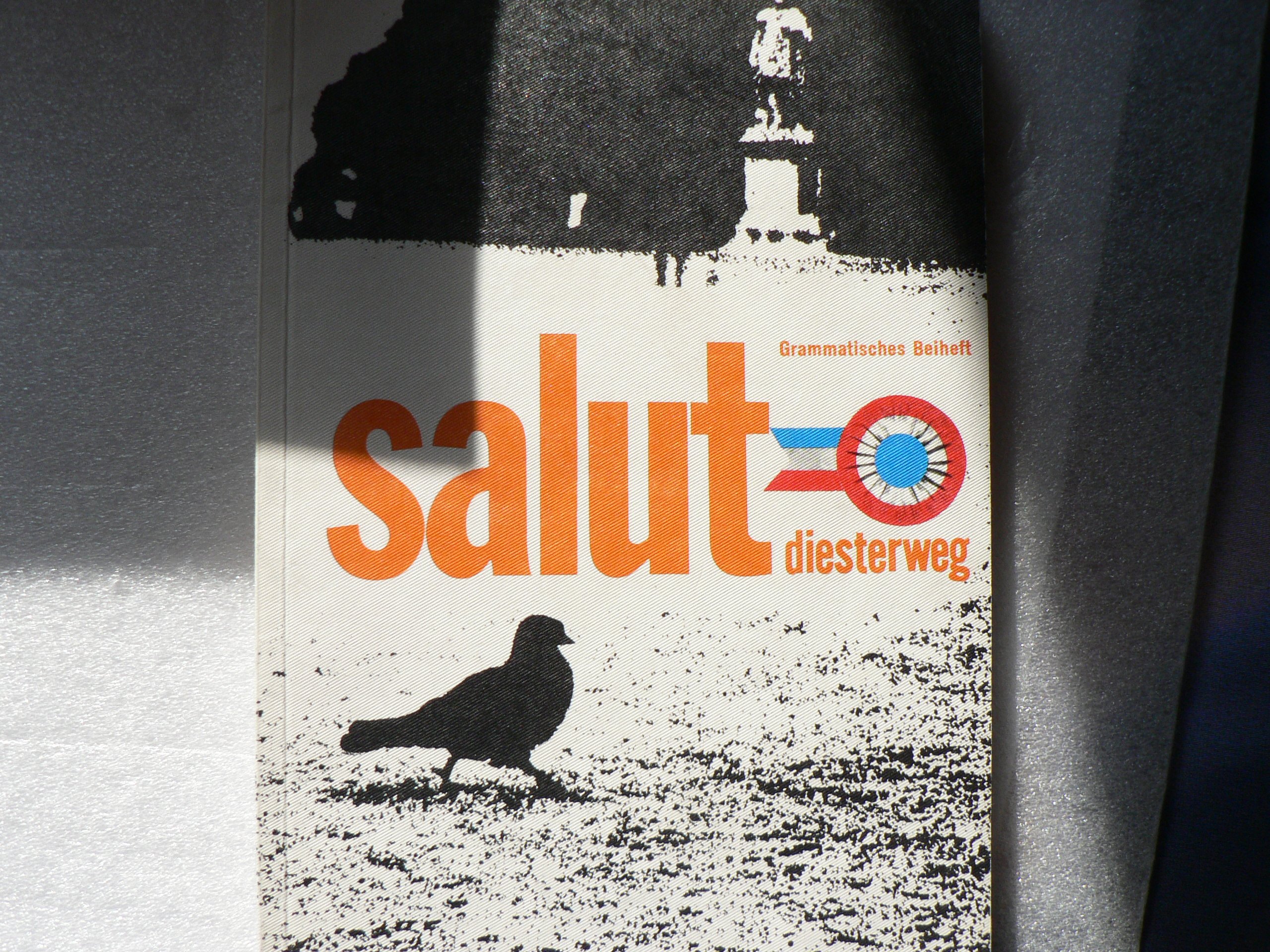 Salut - Ausgabe A: Französisches Unterrichtswerk / Grammatisches Beiheft