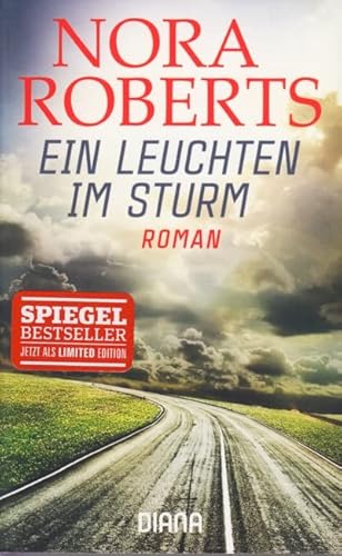 Ein Leuchten im Sturm : Roman