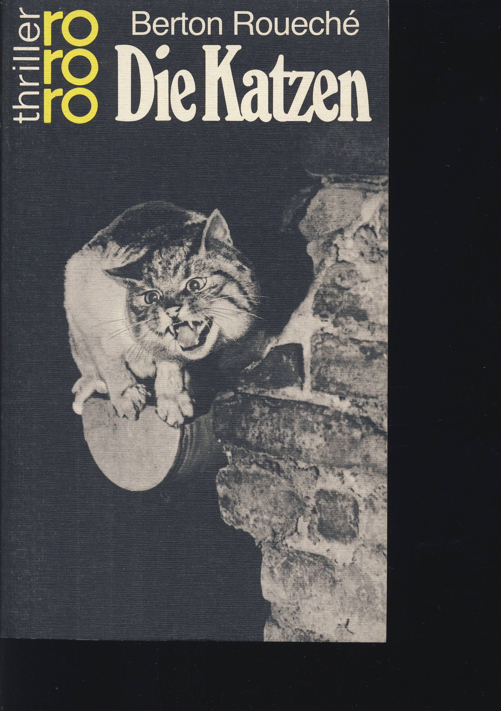 Die Katzen.