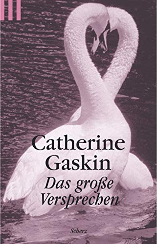 Das grosse Versprechen (Scherz Krimi)