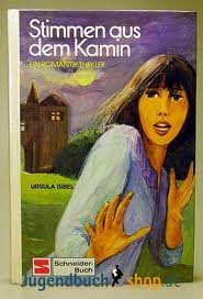 Stimmen aus dem Kamin. Ein Romantik- Thriller