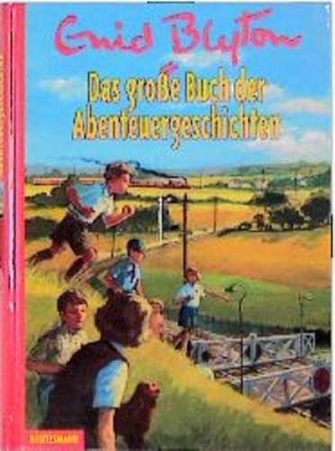 Das grosse Abenteuergeschichten-Buch: Ab 8 Jahren