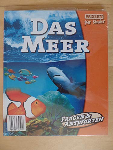 Das Meer Wissen für Kinder Fragen & Antworten