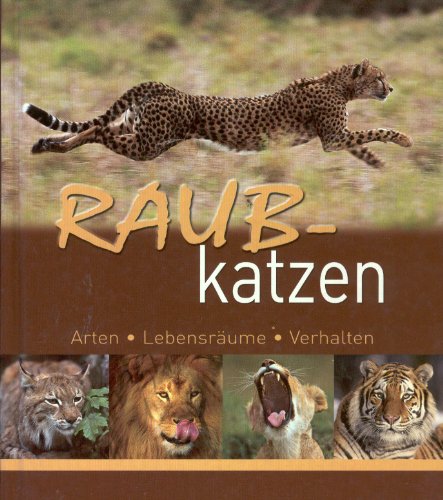 Raubkatzen. Arten, Lebensräume, Verhalten