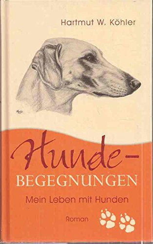 Hunde-Begegnungen