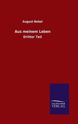 Aus meinem Leben: Dritter Teil