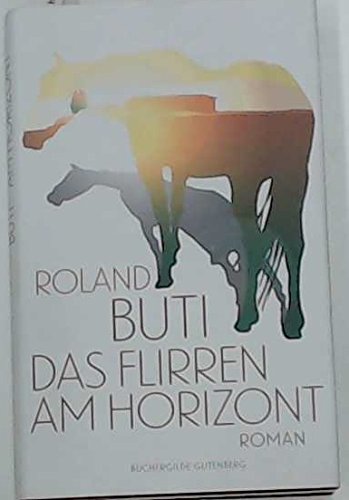 Das Flirren am Horizont, Roman,