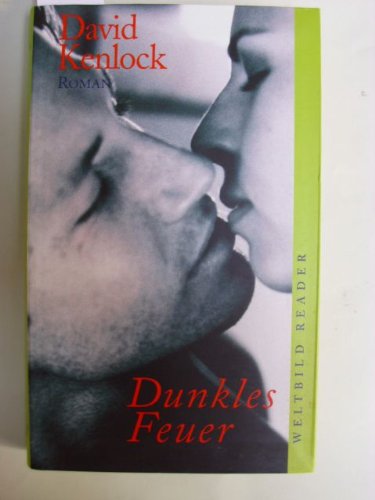 Dunkles Feuer : Roman.