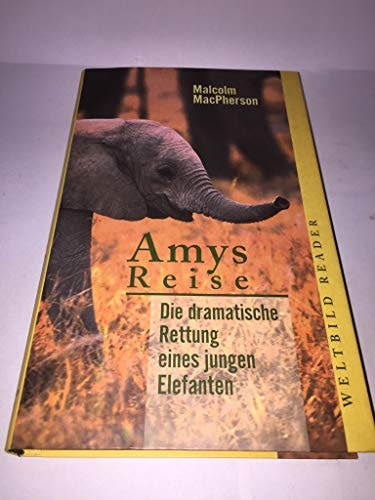 Amys Reise