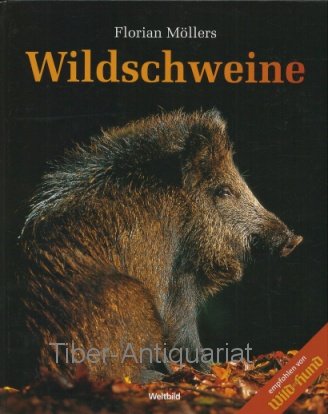 Wildschweine
