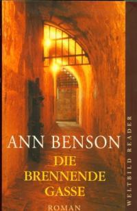 Die brennende Gasse : Roman.