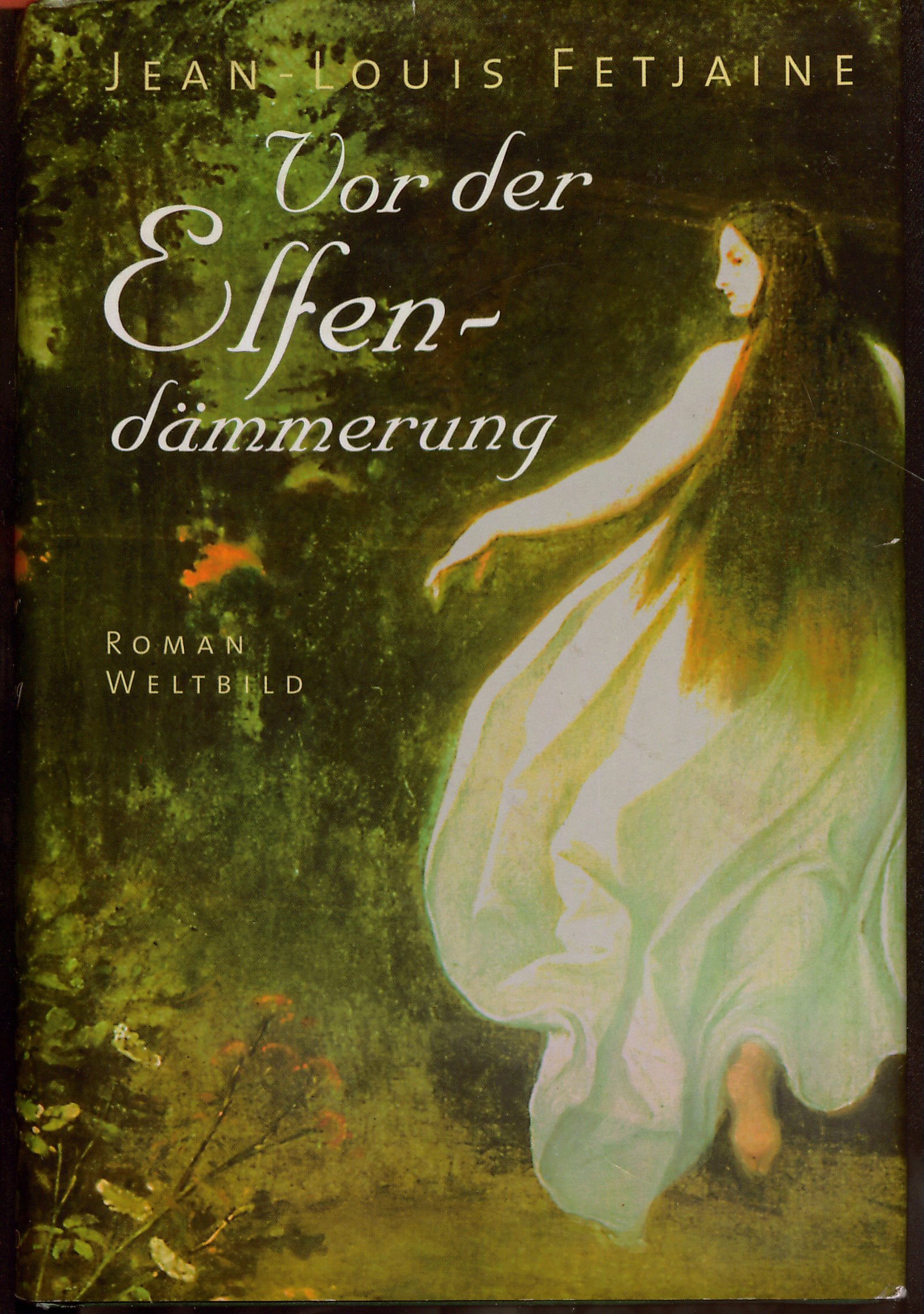 Vor der Elfendämmerung. Aus dem Französischen übersetzt von Michael Kleeberg.