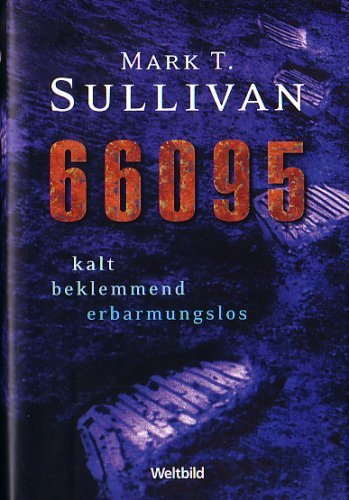 66095