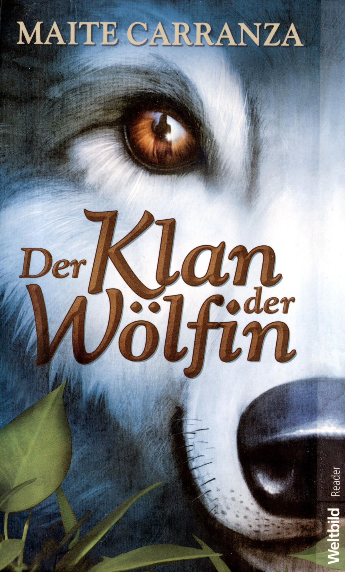 Der Klan der Wölfin : Roman.