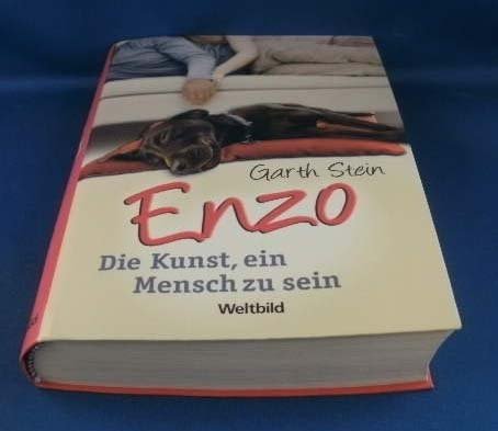 Enzo : die Kunst, ein Mensch zu sein.