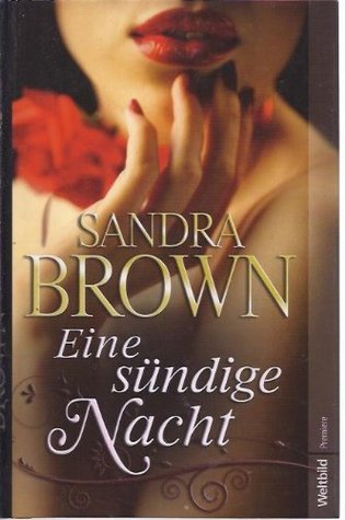 Eine sündige Nacht. Roman