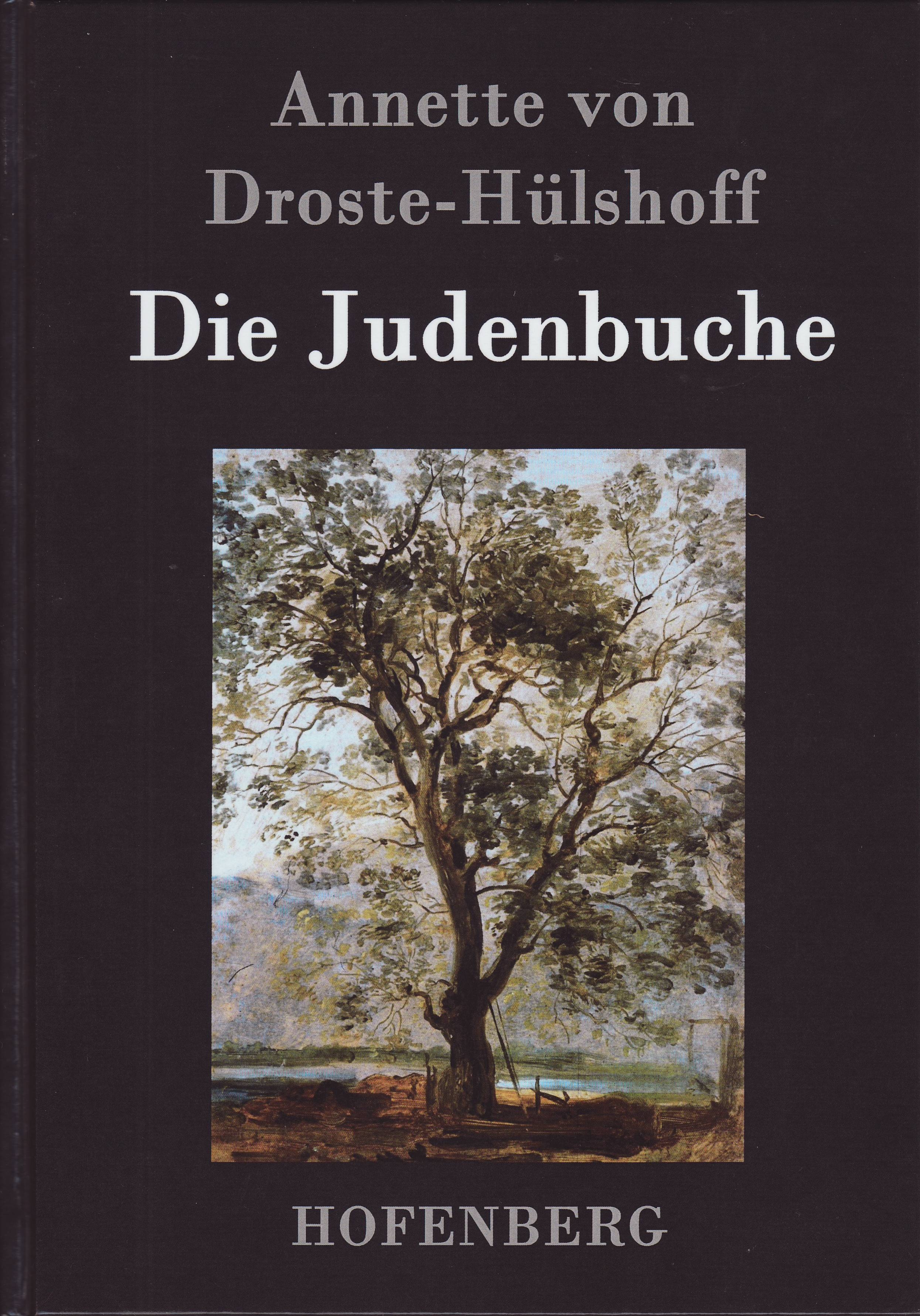 Die Judenbuche: Ein Sittengemälde aus dem gebirgichten Westfalen