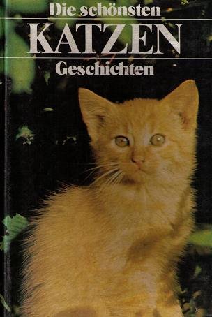 Die schönsten Katzengeschichten